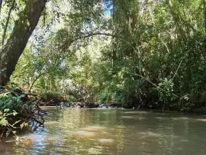 Minicasa rural "El Sitio de la Vida"