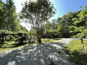 Weblon's Retreat -Lost Cove! Spring Specials!