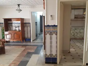 ExperienceAlgeria