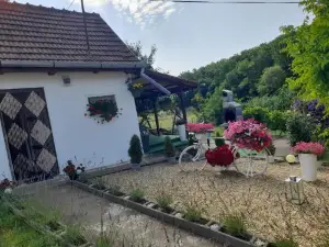 Casa Teonia
