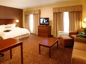 Hampton Inn Springfield South Enfield