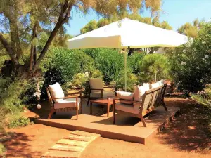 Zorbas Beach Village Hotel