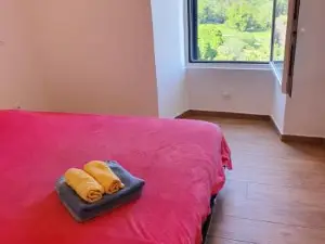 English Club in Corsica B&B