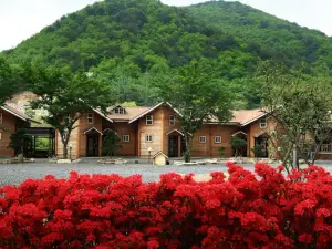 Yangsan Elysia Pension
