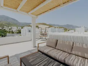 Terra P-3 : 2+1 Penthouse