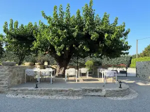 Le Mas d'Archas Montélimar Sud
