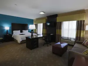 Hampton Inn & Suites Missouri City