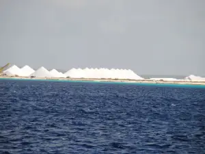 The Lodge Bonaire