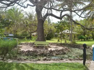 Sindola Safari Lodge