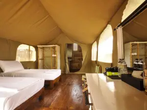 Wild Glamping