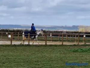 Gîte la crinière au Vent
