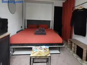 Chambre 2 Pas du Centre-Ville