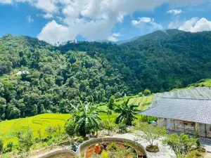 Sapawine homestay