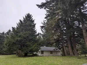 Escape to Serenity on a 40-acre Ranch near Floras Lake