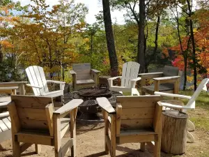 Must See- Beautiful Lakefront Log Cabin on a Private Peninsula - Stunning Views!