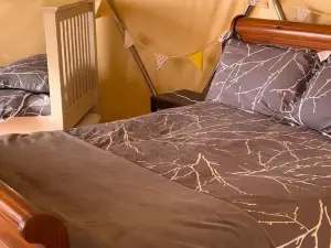 Geodome Glamping with Sea Views Near Pendine