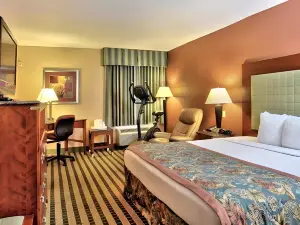 ベストウェスタン プラス イン アット バレー ビュー