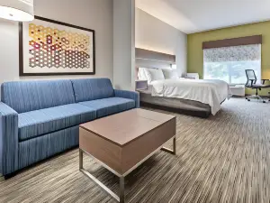 Holiday Inn Express & Suites Lake Zurich-Barrington