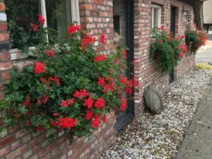Boerensuite, Heerlijk Verblijf in Het Karschop