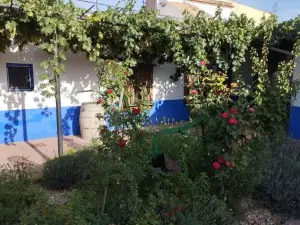 Casa (Tipo) Rural Manchega