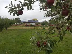 Private Orchard Retreat on 7 acres