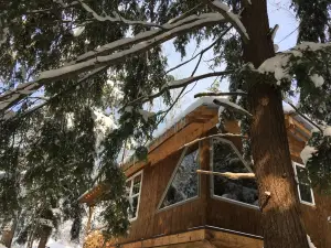 Cabin Creek Hide-Away by Letchworth State Park, Waterfalls, Woods, Off Grid.