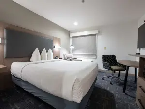 Best Western Lafayette Inn