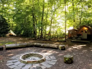 Hollington Park Glamping