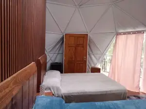 글램핑 돈 델피스