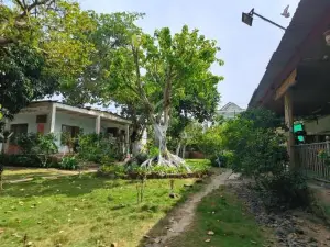 Biên Rừng Homestay