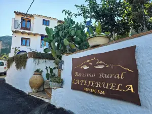 Casas rurales la Tejeruela農舍