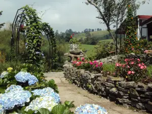 Guayabo Lodge