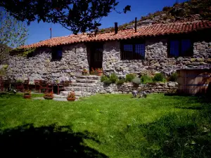 Riojania Vacatio