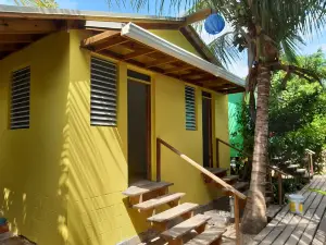 더 펑키 도도 백패커스 호스텔