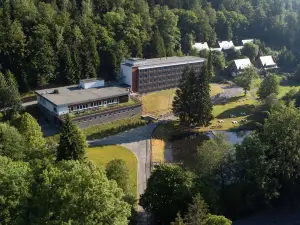 Hotel Schwarzbachtal Hideaway
