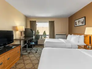 Comfort Inn South