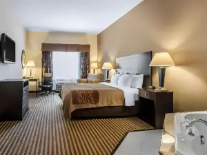 Comfort Inn & Suites Near Bethel College