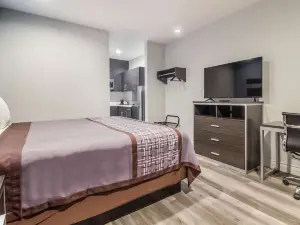 德克薩斯州鹿公園6號工作室