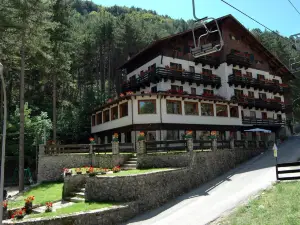 Hotel Garnì Mille Pini