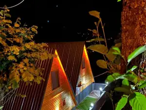 Olva Suit Bungalov