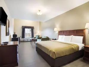 이코노 로지 앤더슨