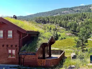 7 Person Holiday Home in Vrådal