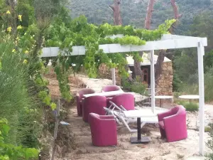 Eid Resort