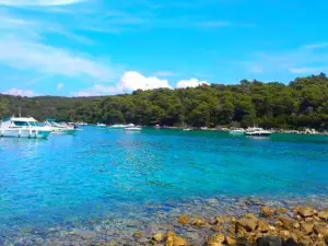 Apartment Forest& Beach Relax
