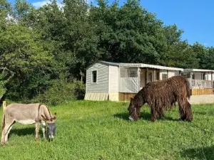 Camping de la ferme aux ânesses, mobil home sofia2