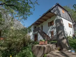 Rustic Apartment Petra