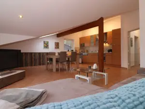 Modern apartment in a central location
