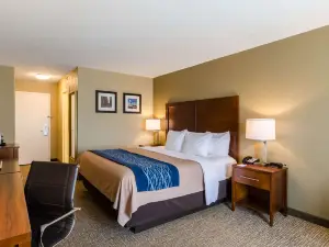 Comfort Inn Randolph-Boston
