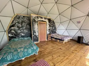 Mandala Camp