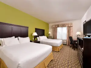 Holiday Inn Express & Suites Sherman Hwy 75